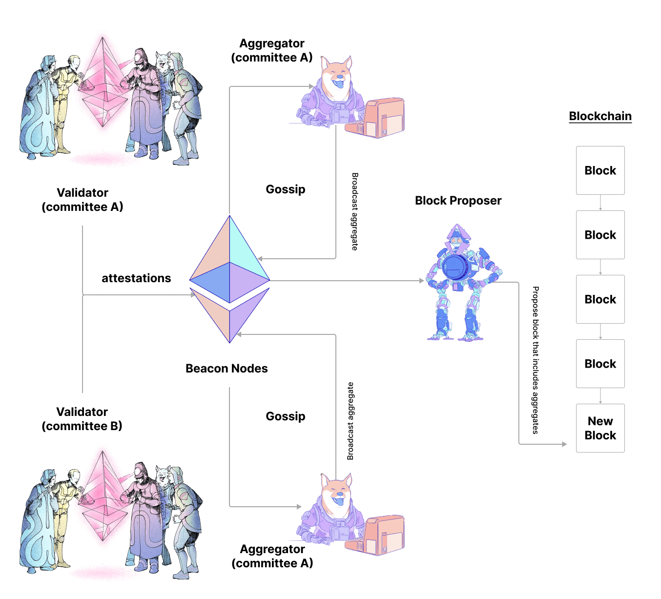 attestation lifecycle