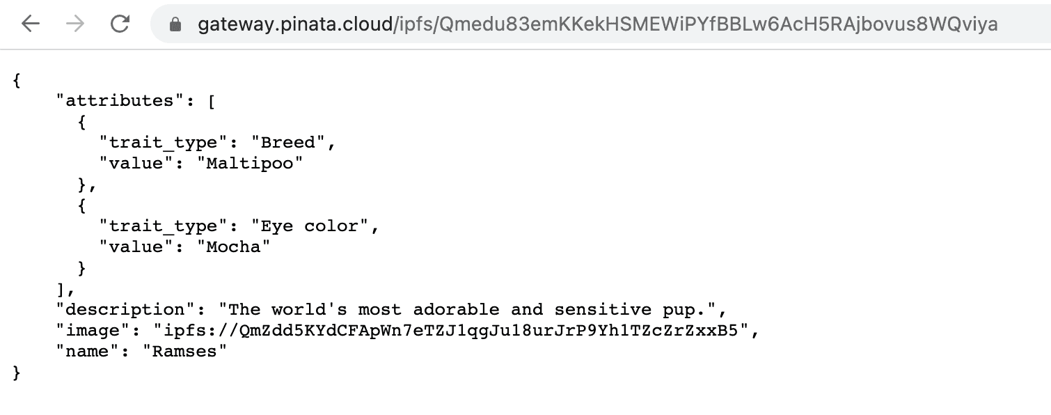 ページにjsonメタデータが表示されるはずです